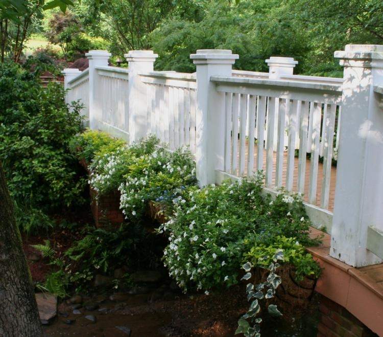 flor-escalada-plantas-jardim-vaso-planta-cerca-terraço-casa-flor da lua