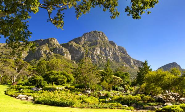 Jardim botânico Kirstenbosch, cidade do cabo, áfrica do sul