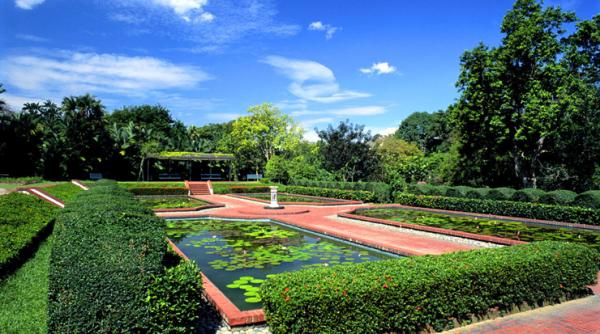 jardim botânico-lagoa-cingapura-lírios-d'água