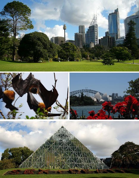 jardim botânico de sydney austrália