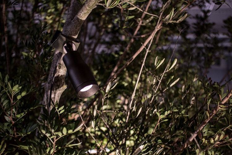 lâmpada outdoor holofote led antracite copa de árvore oculta