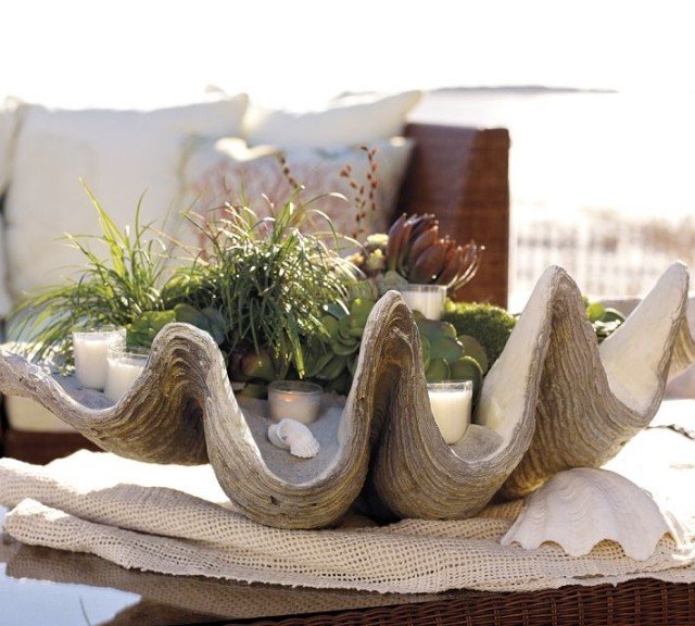 madeira-tigela-concha-forma-areia-vela-plantas-decoração