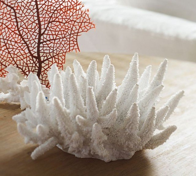 white-sea-coral-decorative-house-coffee-table