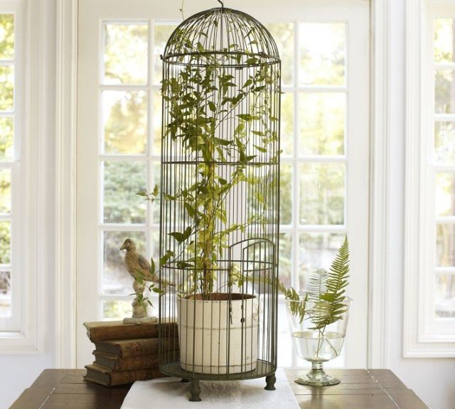 bird-gaiola-ferro-decoração-planta-banheira