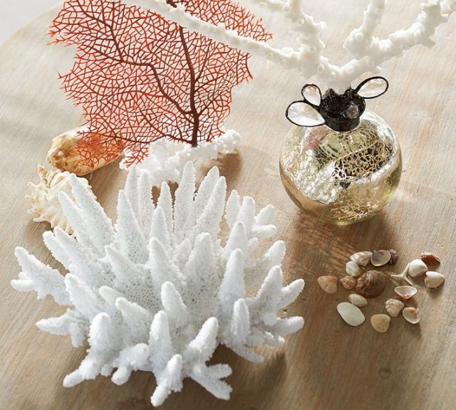 decorativos-acessórios-marítimos-corais