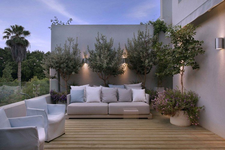 Idéias para design de terraço - tábuas de assoalho - oliveiras - vasos - sofás - apliques