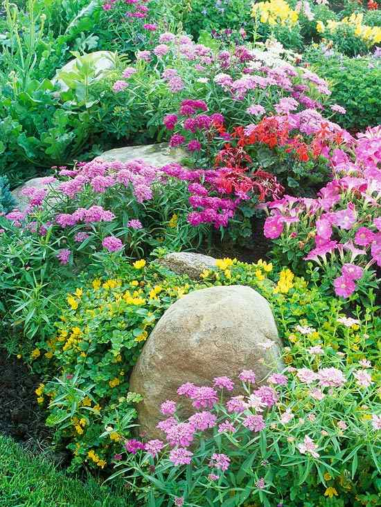 Regras do projeto do jardim cores flores repetem tons roxos