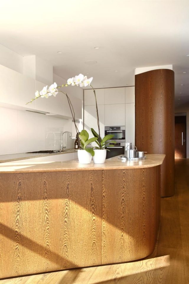 open-kitchen-kitchen-counter-orchid-white-worktop