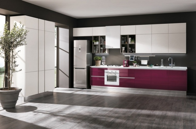 projeto da cozinha superfícies rosa brilhante unidades de parede geladeira, freezers