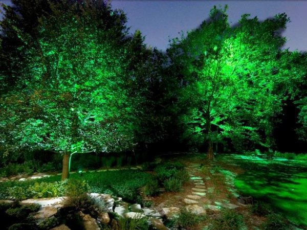ideias para iluminar o jardim iluminar árvores