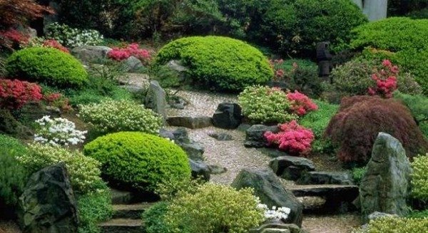 16 etapas para tipos de plantas de design de jardim japonês