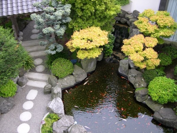 16 etapas para peixes de paisagismo de jardim japonês