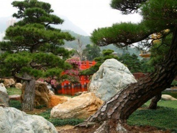 16 etapas para árvores de design de jardim japonês