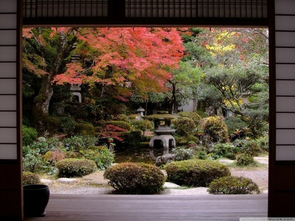 16 etapas para o outono do projeto do jardim japonês
