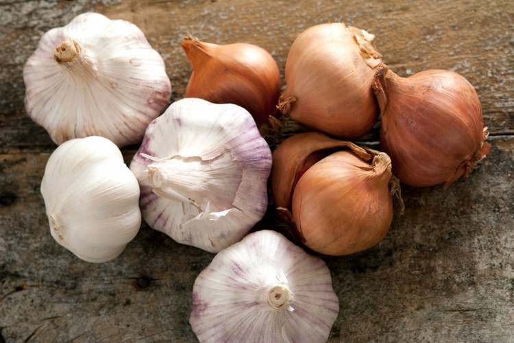 remédios caseiros-dor de dente-vegetais-cebola-alho-cura-casca de cebola