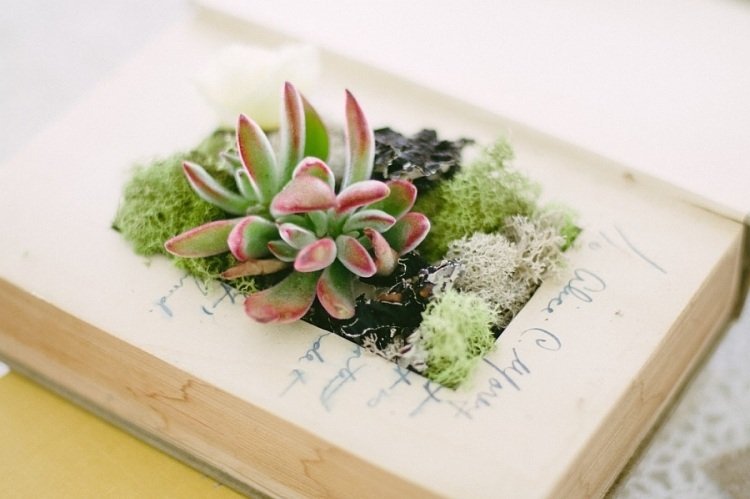 Projeto faça-você-mesmo-livro-velho-suculento-plantador de decoração com livros