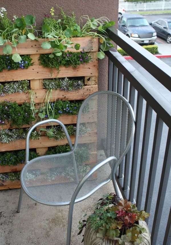 ideias para euro-paletes no jardim vertical interior