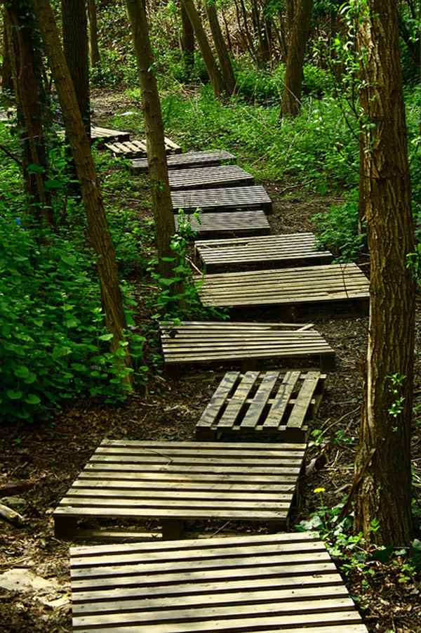 caminho de jardim interior de euro pallets de ideias
