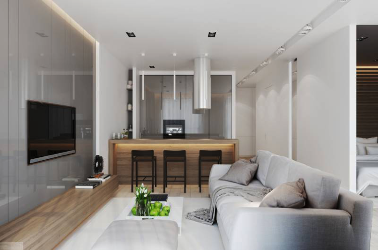 Sala de estar de 20 m² com mobiliário moderno em madeira cinza, cozinha, ilha, cozinha