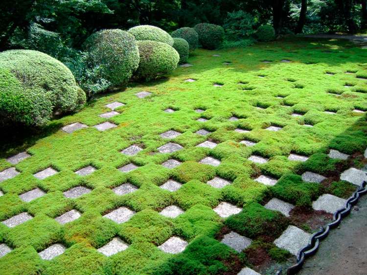 ideias para arbustos de pedra com padrão quadriculado de design de jardim