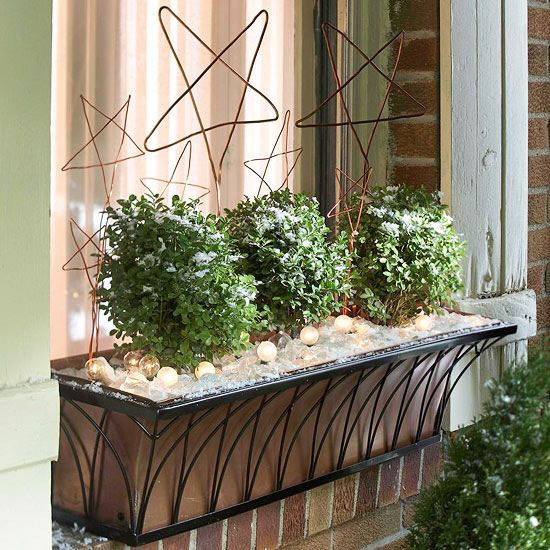 Ideia de decoração de janela de plantas de Natal