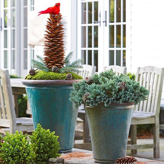 Balde de metal com plantas perenes vermelhas