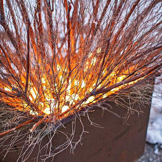 Árvore de ramos de luzes de fada decorativas
