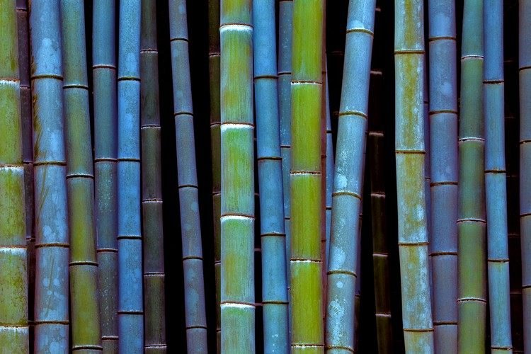 ideias-bambu-palito-decoração-pintado de azul