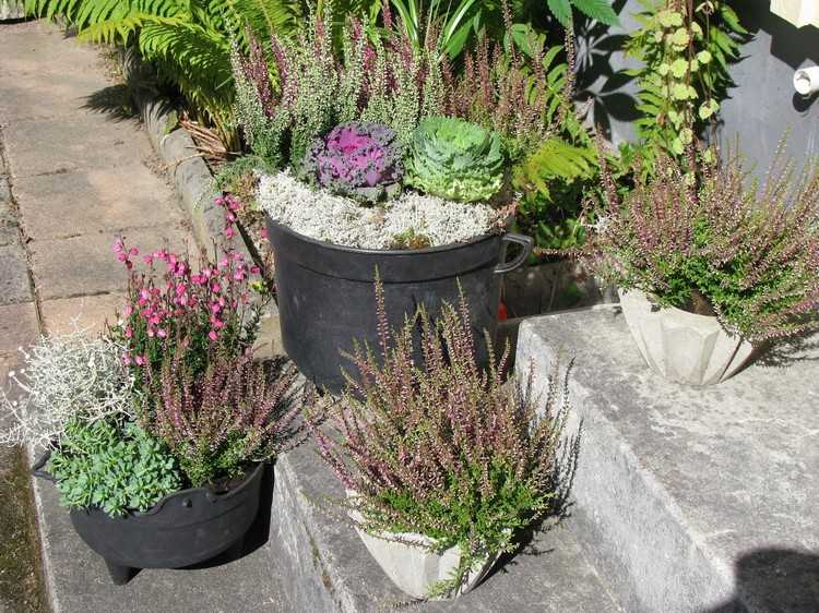 deco-ideas-autumn-outside-flowerpots-heather-silver-wire-plant