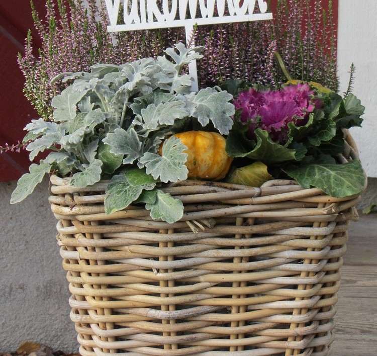 deco-ideias-outono-ao ar livre-vime-cesta-folha de prata-ornamental repolho-urze