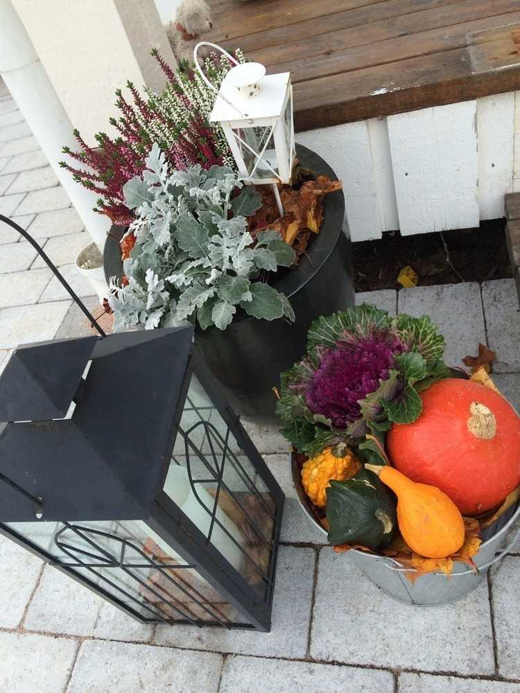 Ideias de decoração para o outono ao ar livre - arranjos de plantas no outono