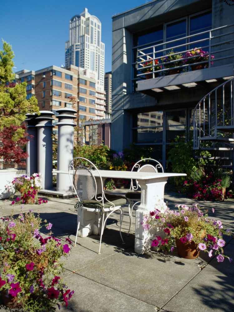 jardim-design-ideias-terraço-terraço-cidade-petúnias-roxo-sol