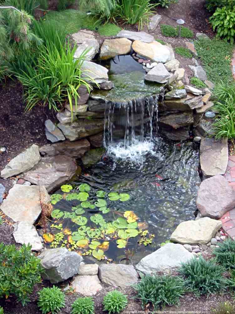 garden-design-ideas - lago-peixe-lírio-d'água-pedregulho-plantas