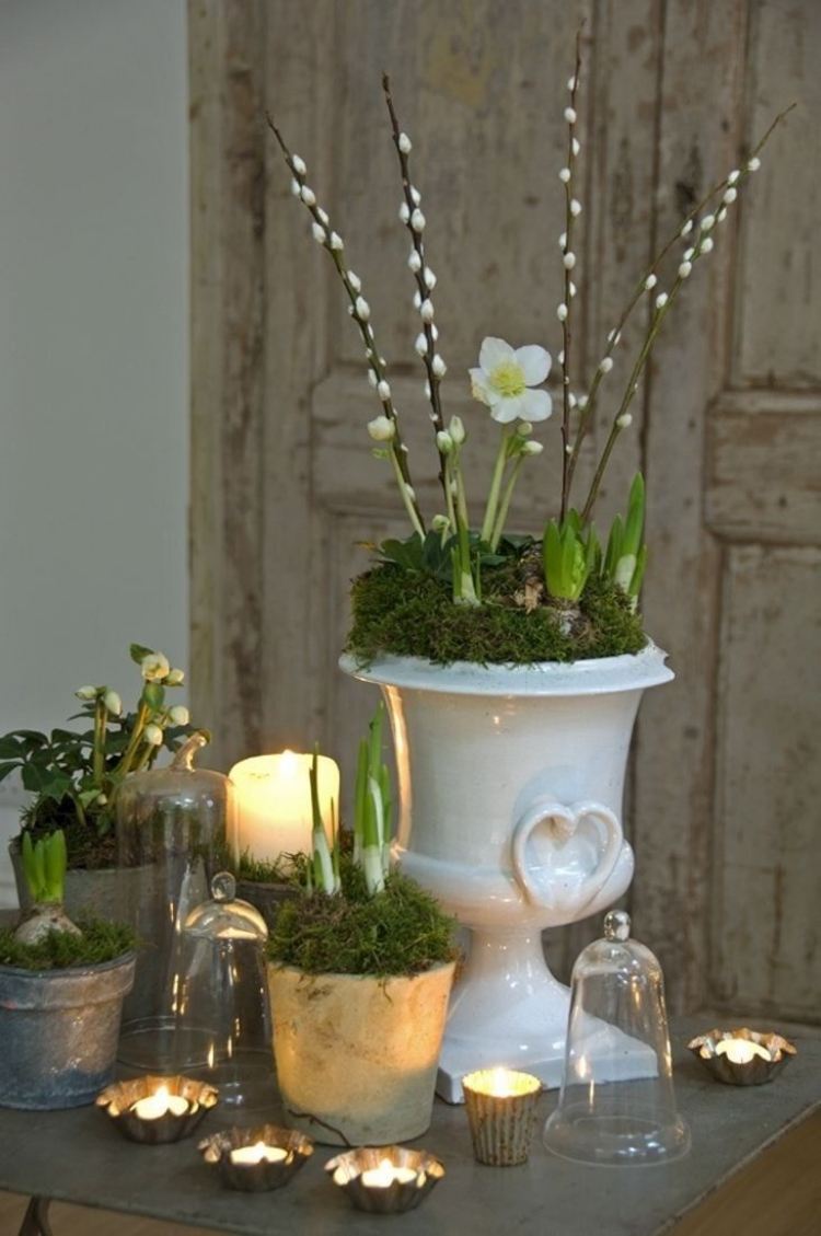 Ideias para decoração de primavera shabby-willow-cat-hyacinth-tealights-moss