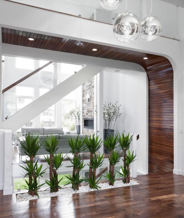 plantas deco casa moderna cascalho parede de vidro branco palmeiras