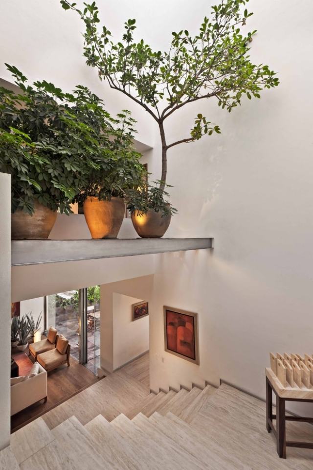 escadas decoração árvores vaso ideia ambiente mediterrâneo