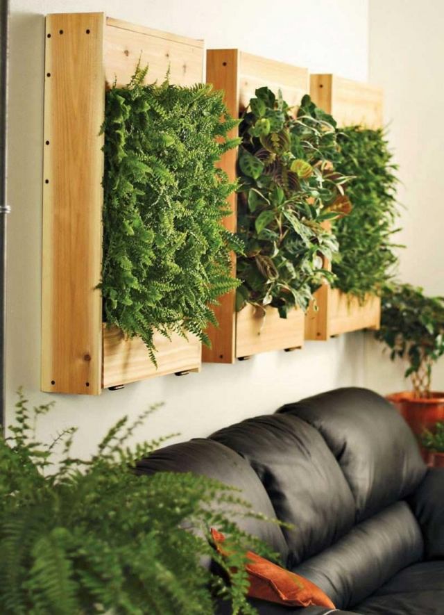 Decoração de plantas de interior jardins verticais samambaias caixa de madeira sofá de couro
