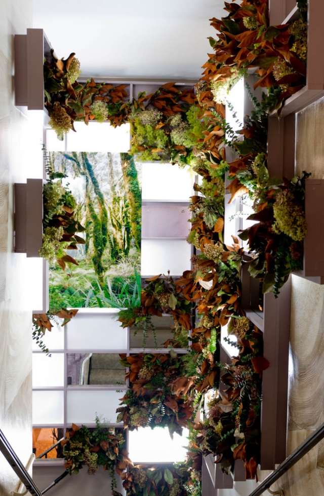 Janela da escada da ideia do recipiente vertical deco para plantas de interior