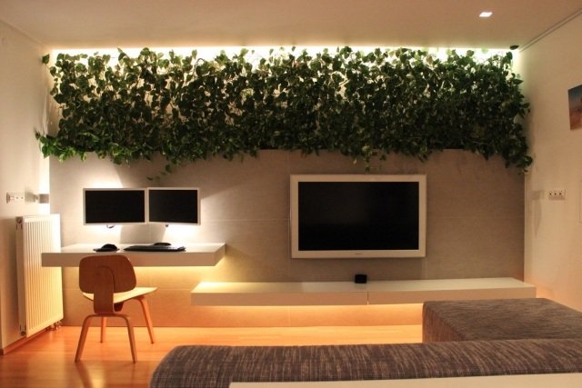 Decoração de plantas de interior pequena sala de estar luzes subterrâneas plantas decoração de parede