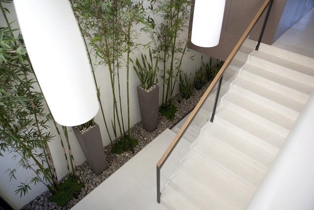 plantas dentro de cascalho banheiras altas plantas de bambu escadas
