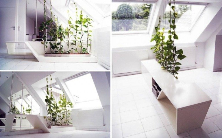 armário de decoração de planta interna vaso de flores embutido planta trepadeira de banheiro