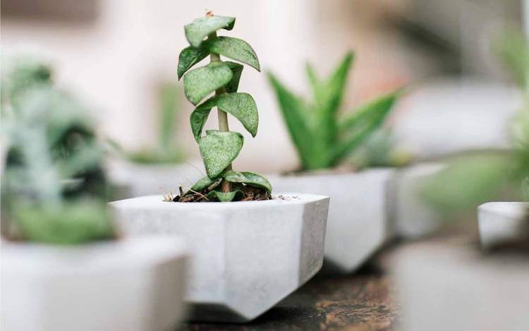 3d-printer-alternative-vacuum-form-box-plantter-mini