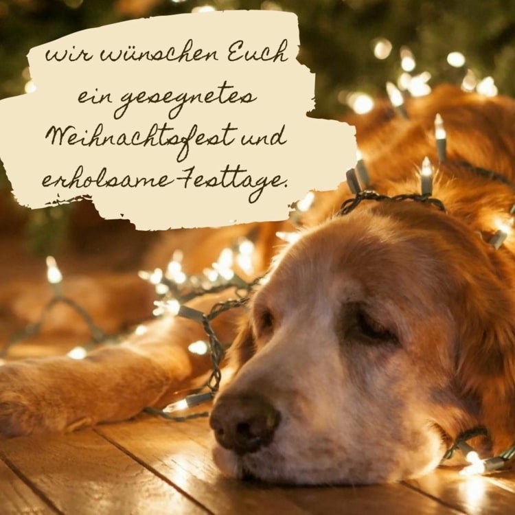 Desejamos a você um Feliz Natal e um feriado relaxante
