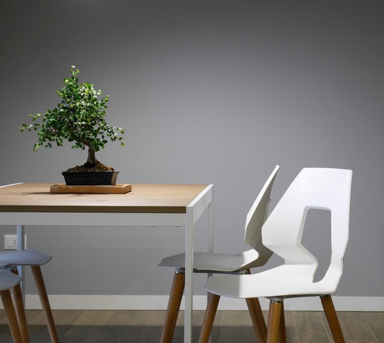 Mobiliário de design para sala de jantar mesa bonsai de madeira branca