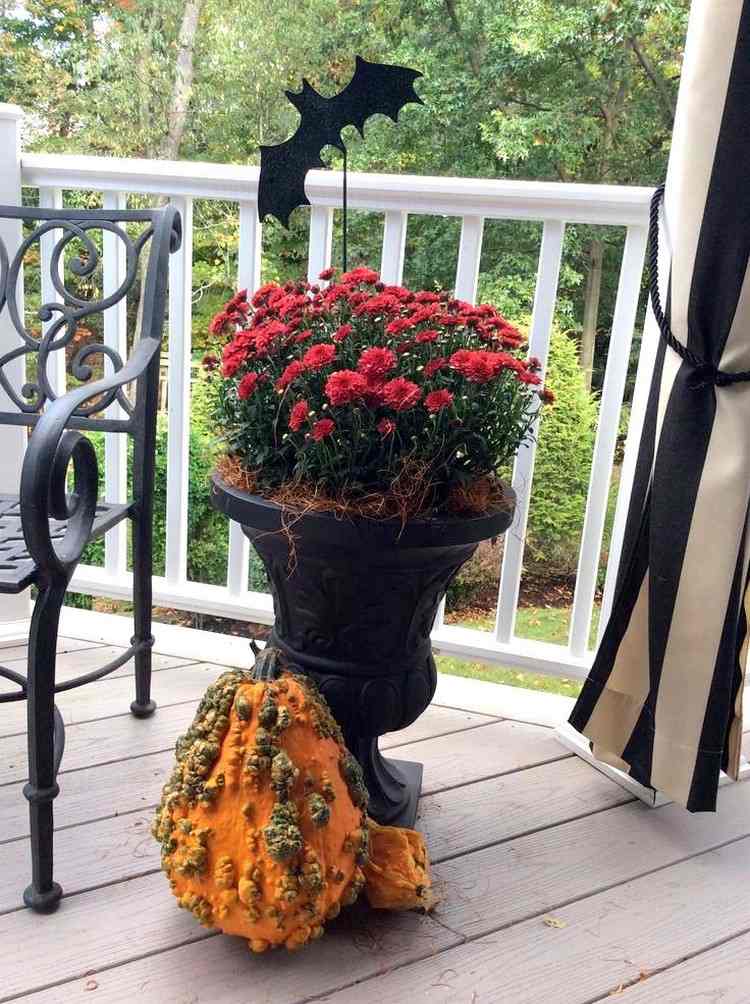 outono-plantas-laranja-crisântemo-plantador-terraço