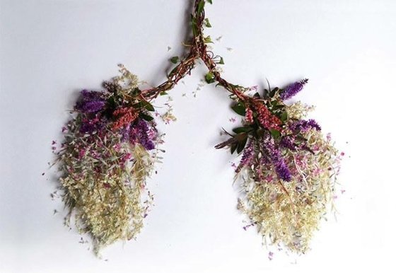 Ideia de decoração de parede - ideia de artesanato - forma de pulmão de erva