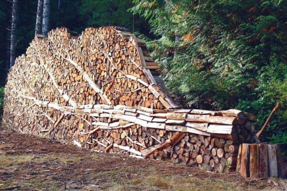 Calçadão-jardim-lenha para lenha