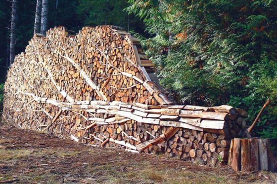 Calçadão-jardim-lenha para lenha