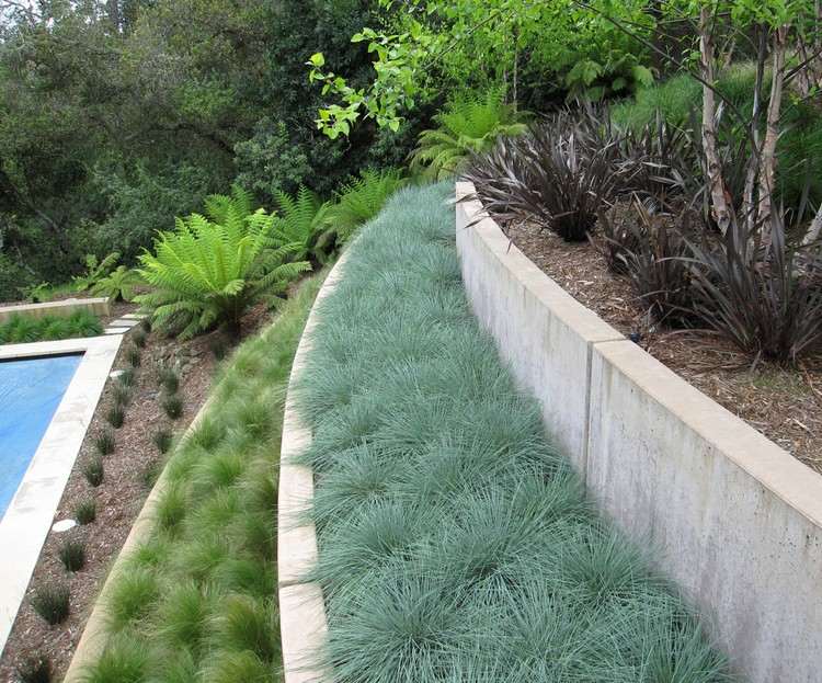 Muro de contenção-jardim-concreto-diferentes-ornamentais-grama-tipos-cada-terraço