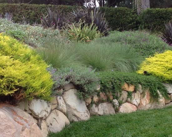 plantas de parede seca de arenito de jardim assentam